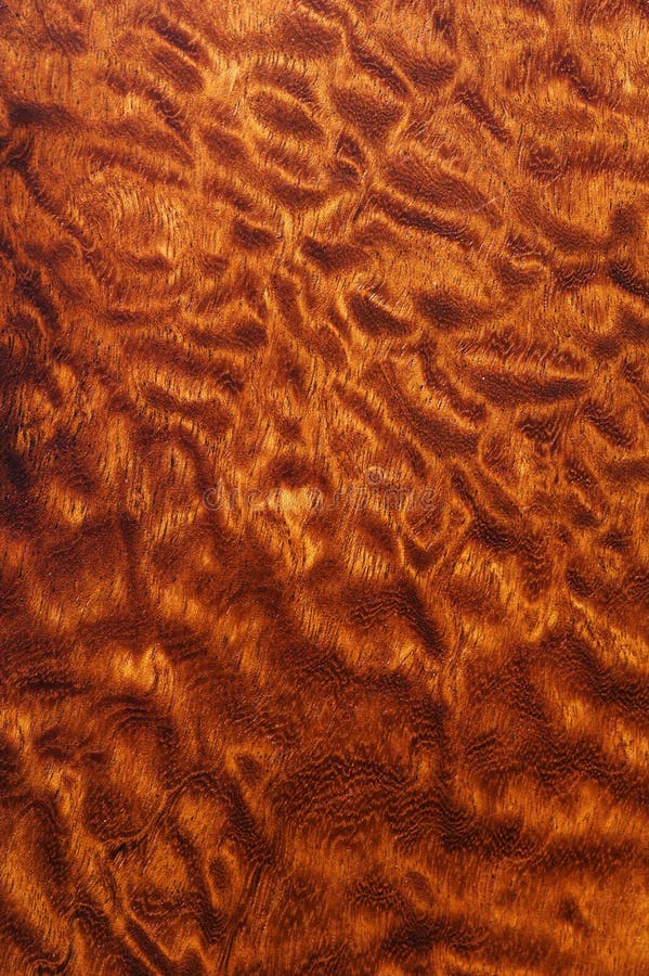 Quilted pommele sapele wood background. Quilted pommele sapele wood background.