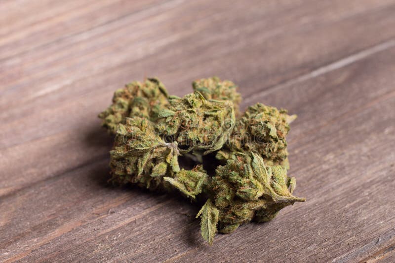 Лекарство из листьев конопли как и где найти марихуану