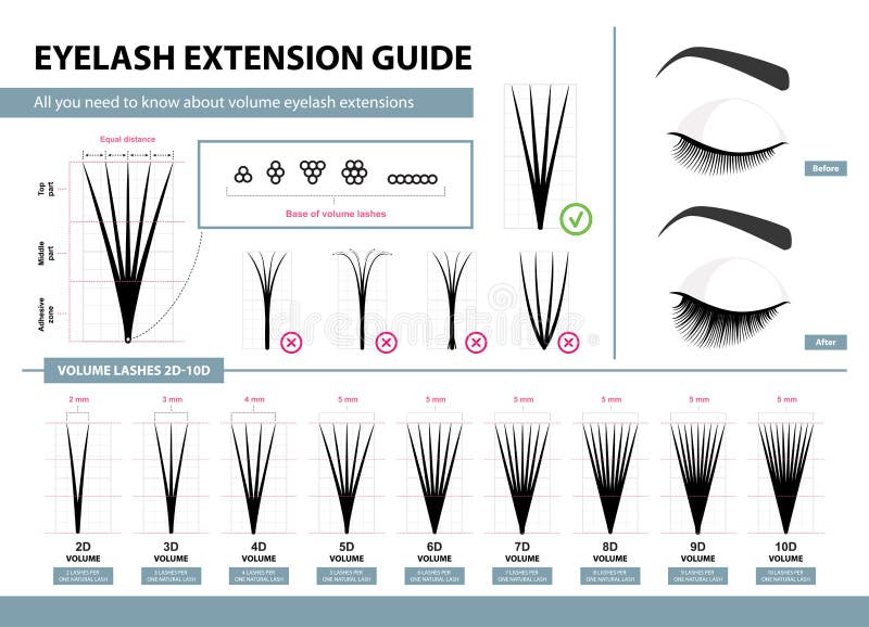 Eyelash extension guide. Volume eyelash extensions. 2D - 10D Volume. Tips and tricks. Infographic vector illustration. Template for Makeup and cosmetic procedures. Training poster. Eyelash extension guide. Volume eyelash extensions. 2D - 10D Volume. Tips and tricks. Infographic vector illustration. Template for Makeup and cosmetic procedures. Training poster