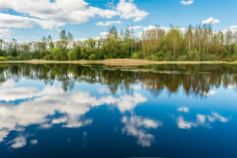 Голубое озеро, небо отражает поверхность воды с белыми облаками, на горизонте сухой тростник и лес стоковое фото Голубое озеро, небо отражает поверхность воды с белыми облаками, на горизонте сухой тростник и лес стоковое фото