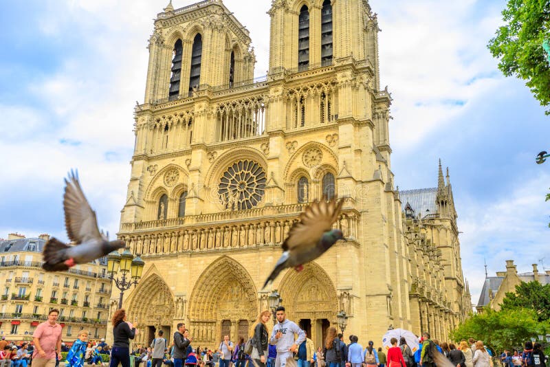 Paris, France - July 2, 2017: tourists and pigeons in Notre Dame de Paris. top Paris attraction. Beautiful day in blue sky. Central facade with towers and gothic rosettes. Paris, France - July 2, 2017: tourists and pigeons in Notre Dame de Paris. top Paris attraction. Beautiful day in blue sky. Central facade with towers and gothic rosettes