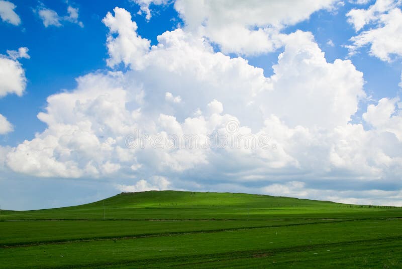 The Hulun Buir Grassland is known as the Kingdom of Pastureland and has more than 1,000 species of plants. It is one of the plains that have remained unpolluted and have balanced ecological conditions. On the grassland are green grass, beautiful flowers, zigzag rivers, crystal-clear lakes, sheep and cows, and herdsmen's yurts (nomadic homes) sending forth the fragrance of wine and of tea with milk. The Hulun Buir Grassland is known as the Kingdom of Pastureland and has more than 1,000 species of plants. It is one of the plains that have remained unpolluted and have balanced ecological conditions. On the grassland are green grass, beautiful flowers, zigzag rivers, crystal-clear lakes, sheep and cows, and herdsmen's yurts (nomadic homes) sending forth the fragrance of wine and of tea with milk.