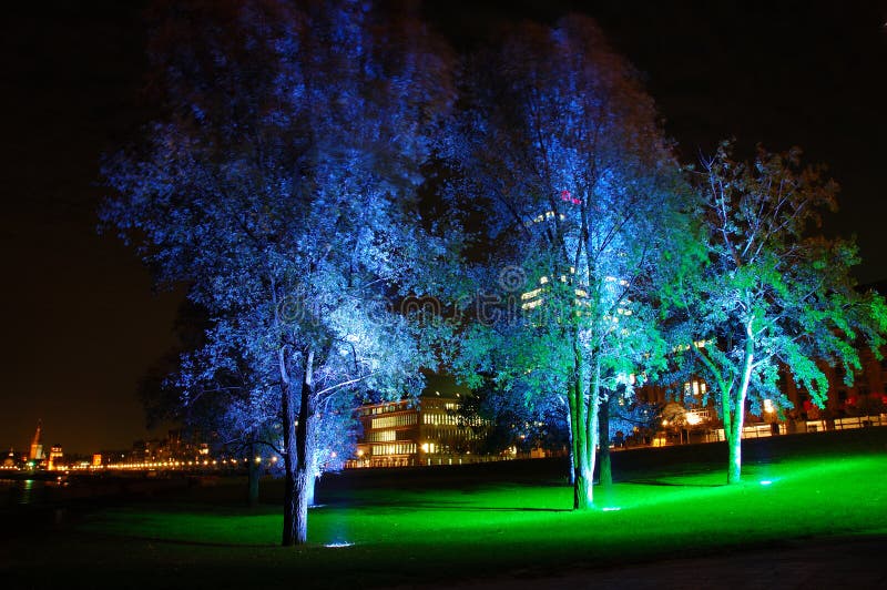 Blue illuminated trees in the city. Blue illuminated trees in the city