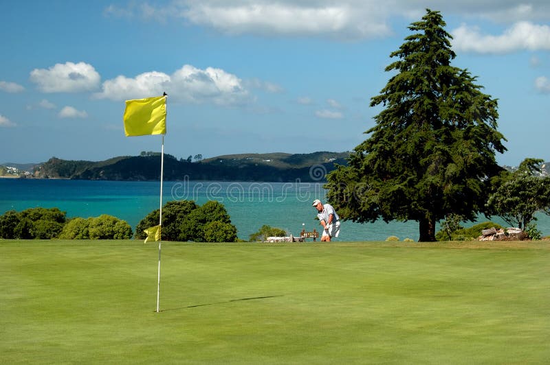 Golfer approaching green on coastal course. Golfer approaching green on coastal course