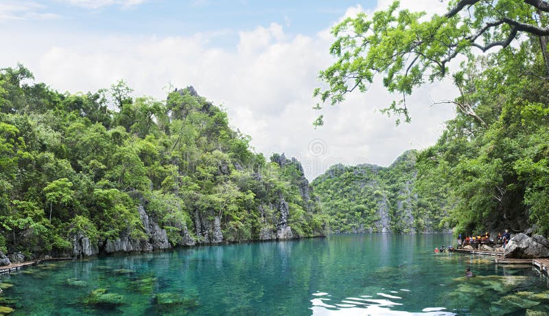 гора palawan philippines озера стоковые фотографии rf гора palawan philippines озера стоковые фотографии rf
