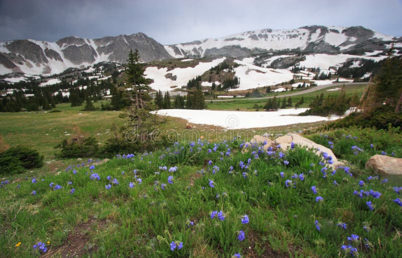 Snowy landscapes in the Medicine Bow Mountains of Wyoming. Snowy landscapes in the Medicine Bow Mountains of Wyoming