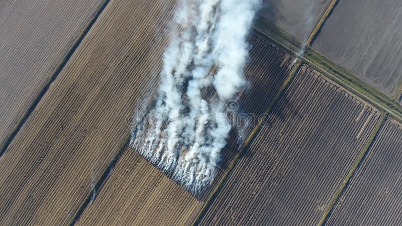 Горение соломы риса в полях Курите от горения соломы риса в проверках Пожар на поле стоковые фото Горение соломы риса в полях Курите от горения соломы риса в проверках Пожар на поле стоковые фото