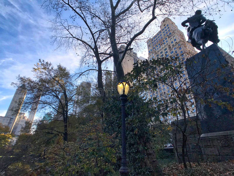 Горизонт юга Central Park сфотографировал снизу в парке стоковые изображения Горизонт юга Central Park сфотографировал снизу в парке стоковые изображения