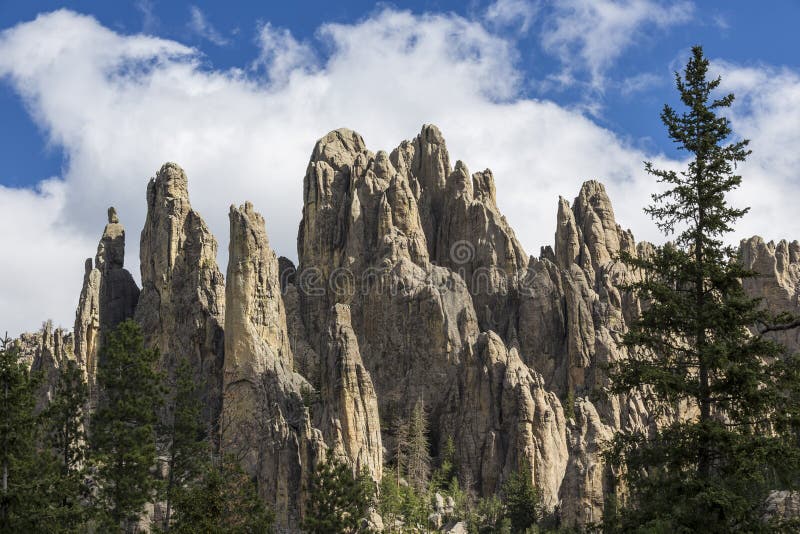 Горные породы Black Hills стоковая фотография rf Горные породы Black Hills стоковая фотография rf