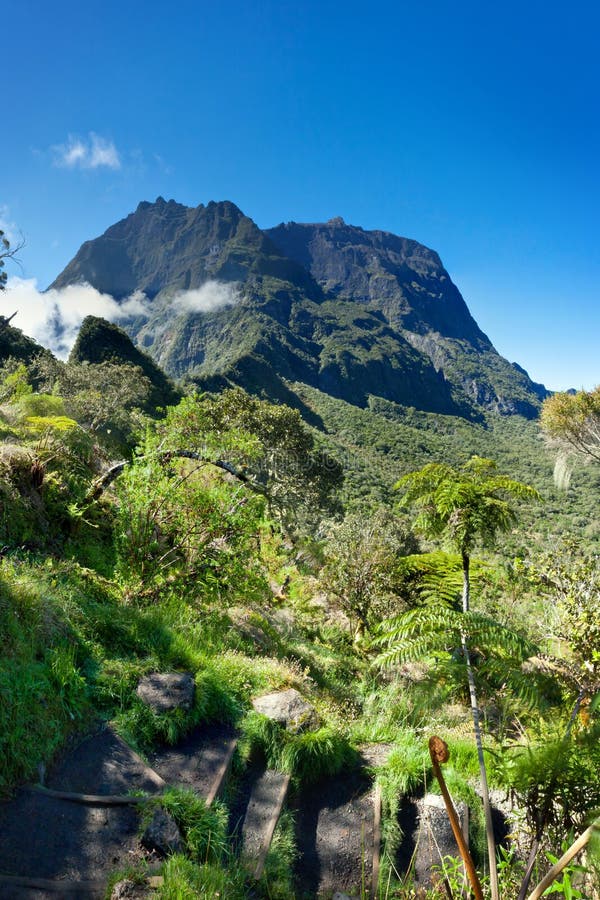 Scenic view of Cirque de Mafate mountains with jungle in foreground, Reunion Island National Park. Scenic view of Cirque de Mafate mountains with jungle in foreground, Reunion Island National Park.