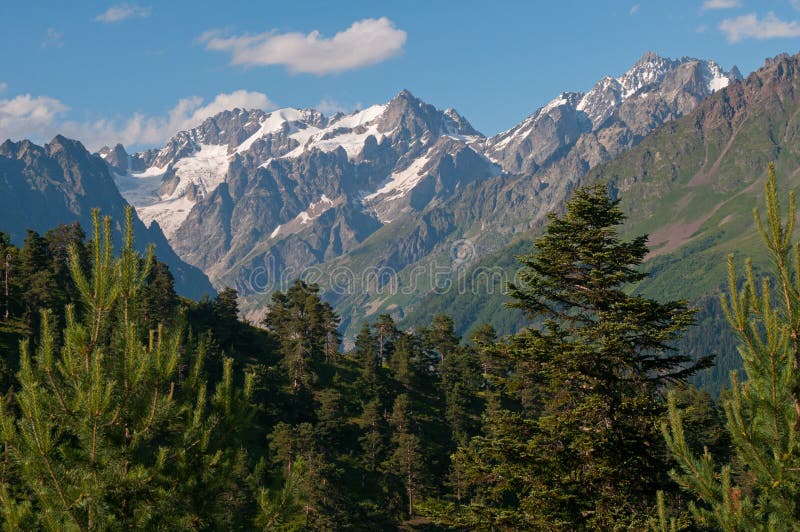 High mountains with snow and glaciers are in the background, green forest is in the foreground. This as the Caucasus Mountains - Georgia, Mestia region. High mountains with snow and glaciers are in the background, green forest is in the foreground. This as the Caucasus Mountains - Georgia, Mestia region.