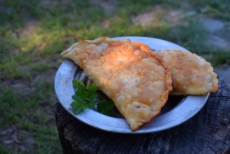 Горячие зажаренные chebureks зажаренные pasties Пирог с мясом и луком, традиционным турецким и монгольским блюдом Еда сваренная o стоковое фото Горячие зажаренные chebureks зажаренные pasties Пирог с мясом и луком, традиционным турецким и монгольским блюдом Еда сваренная o стоковое фото