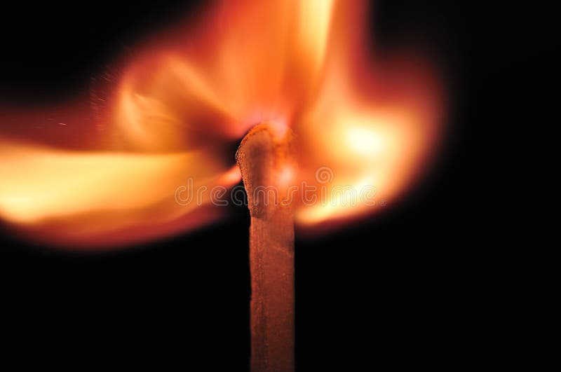 Горящая головка спички стоковое фото rf