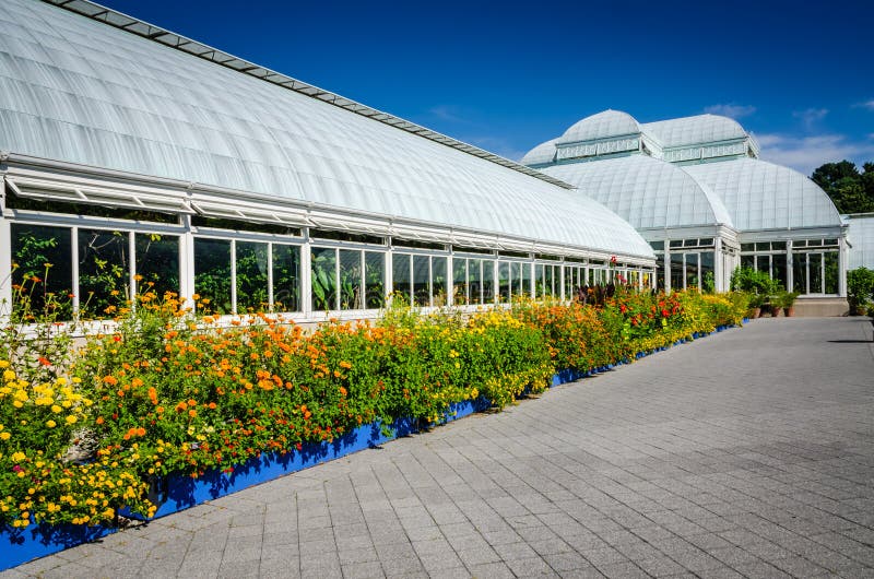 Граница Lantana - консерватория Haupt - сад Нью-Йорка ботанический стоковые изображения Граница Lantana - консерватория Haupt - сад Нью-Йорка ботанический стоковые изображения