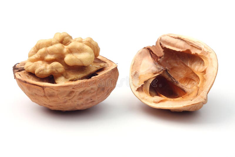 Ripe walnut against white background. Ripe walnut against white background