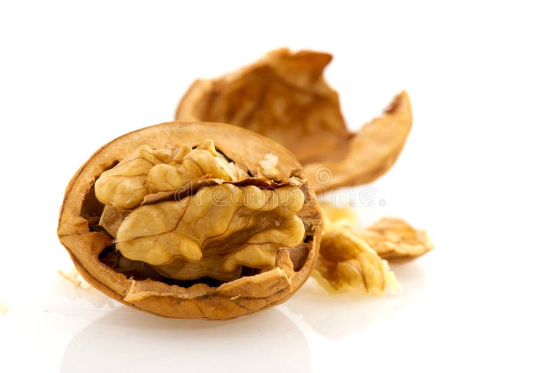 Open half walnut in macro isolated over white. Open half walnut in macro isolated over white