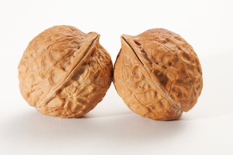 walnut close up on white background. walnut close up on white background