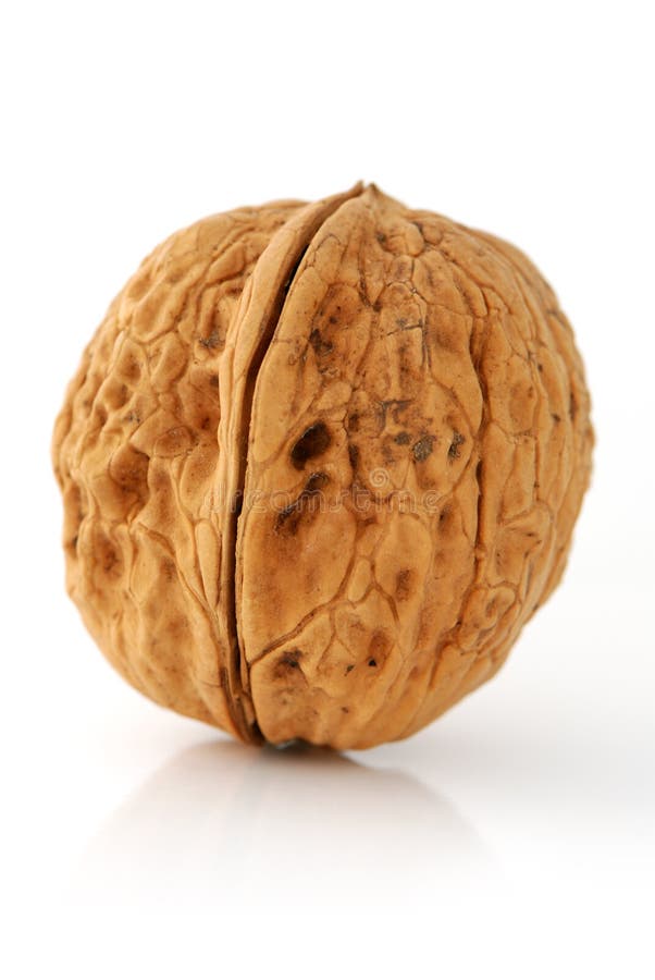 Walnut isolated on a white background. Walnut isolated on a white background