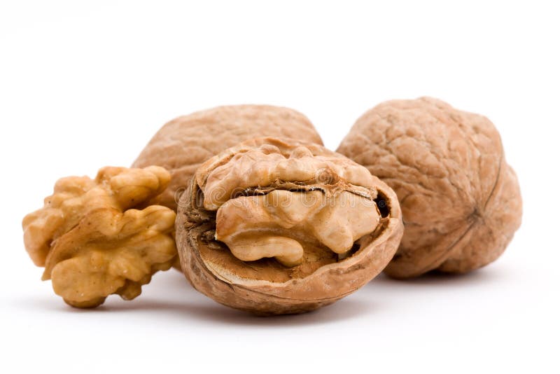 Dry walnut fruit studio isolated closeup. Dry walnut fruit studio isolated closeup