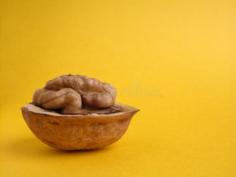 Walnut on yellow ground. Walnut on yellow ground