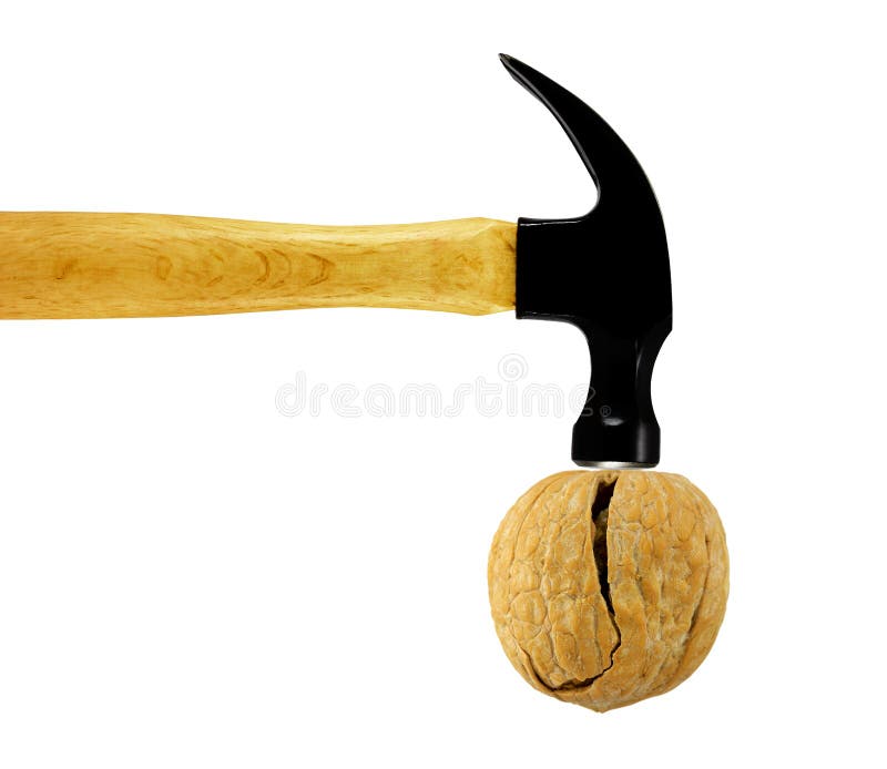 Cracked walnut by hammer. Isolated over white. Cracked walnut by hammer. Isolated over white.