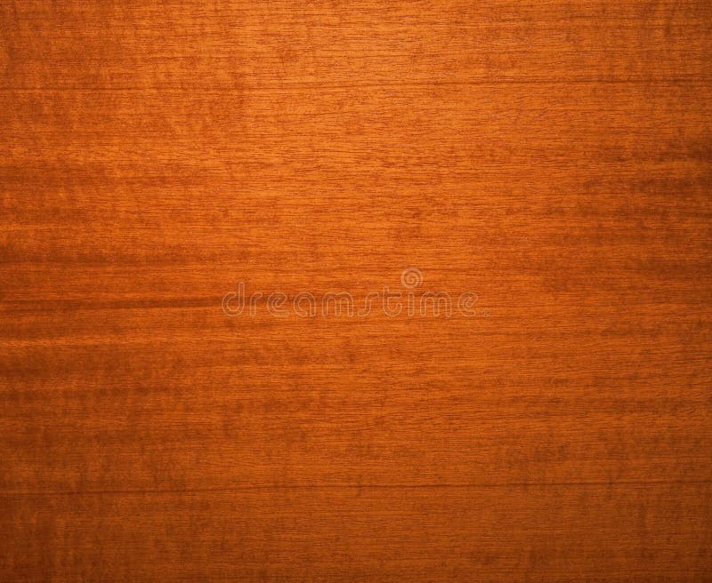 Photo of abstract walnut background. Photo of abstract walnut background.