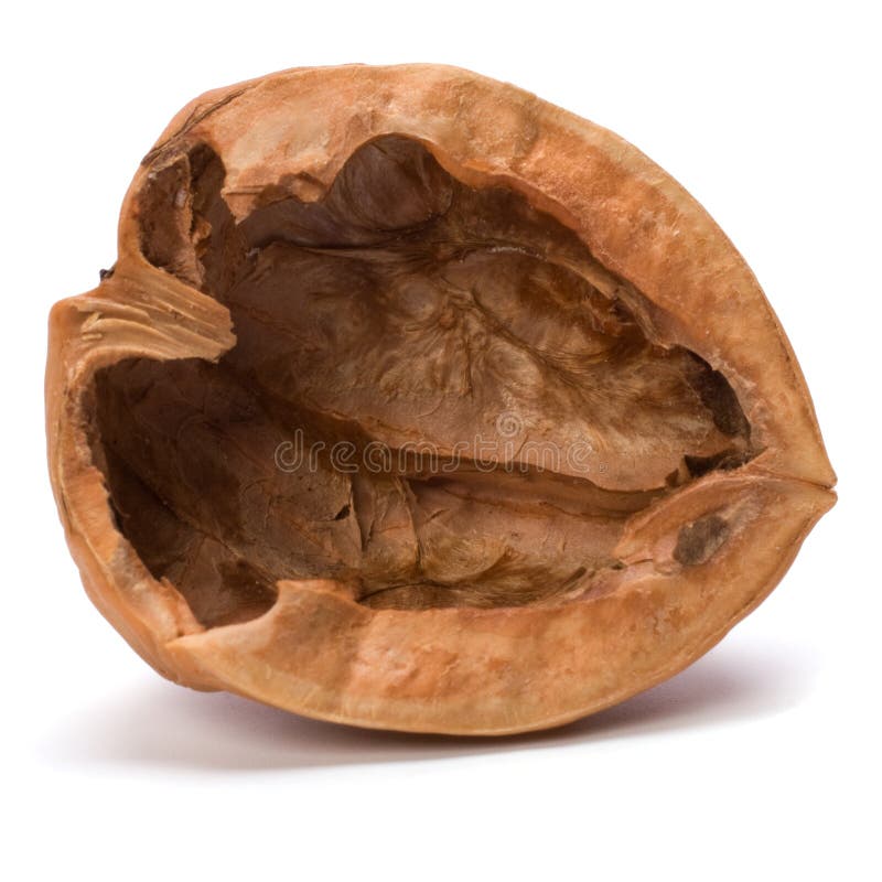 Empty walnut shell isolated on white background. Empty walnut shell isolated on white background