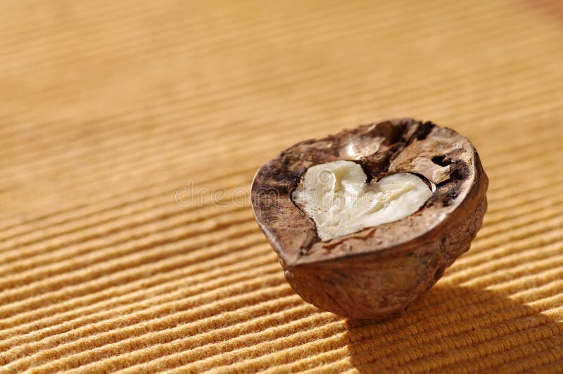 Close-up of a heart-shaped walnut. Close-up of a heart-shaped walnut