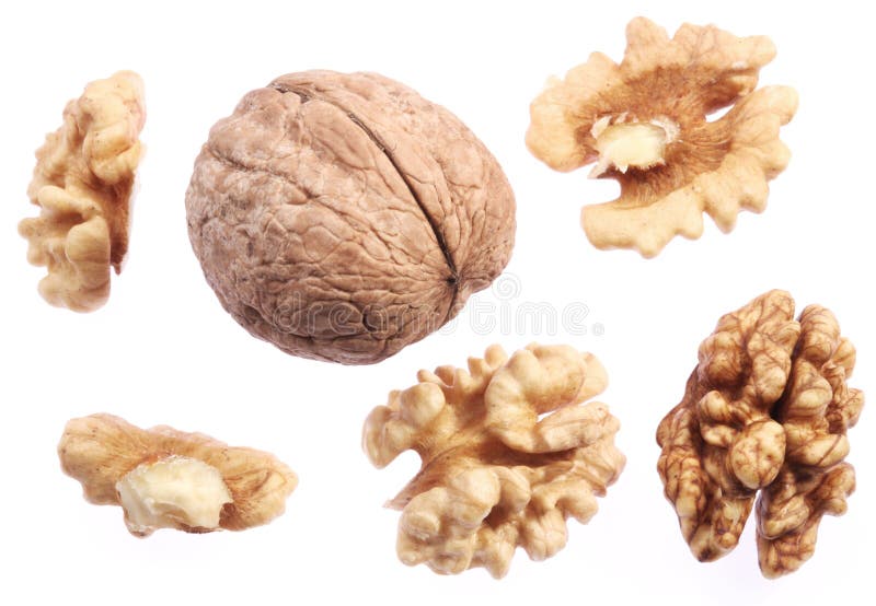 Walnut kernels isolated on a white background. Walnut kernels isolated on a white background.