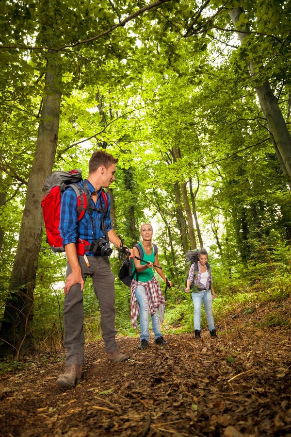 Группа в составе hiker стоковые фотографии rf Группа в составе hiker стоковые фотографии rf