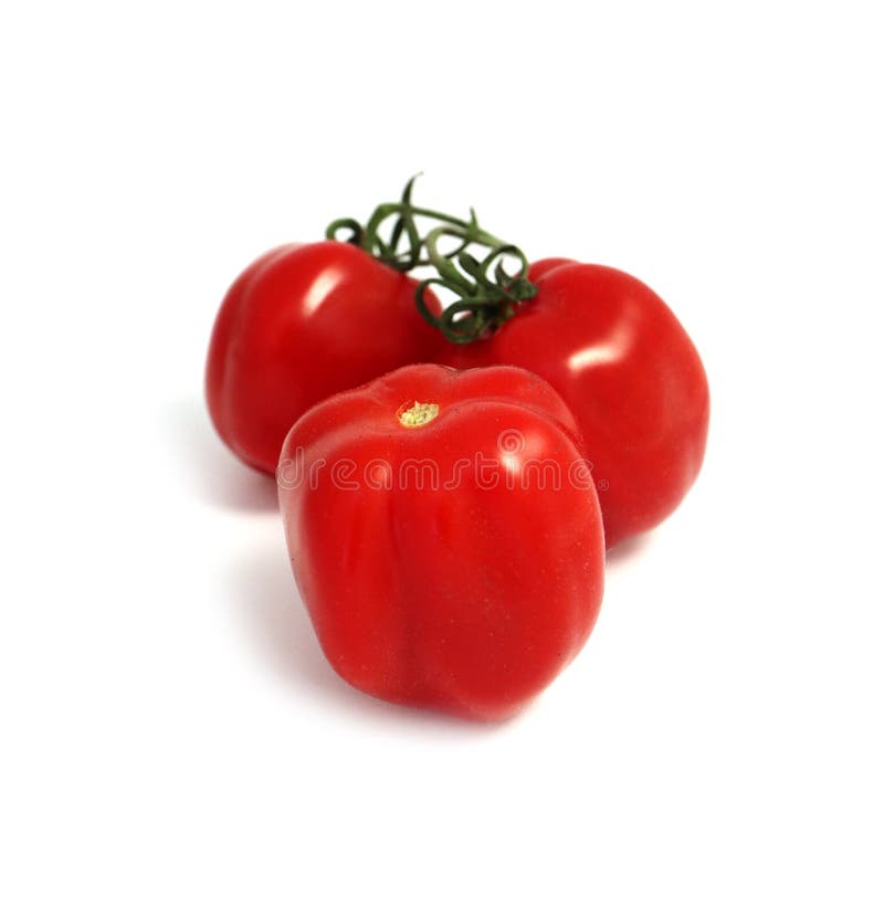 Группа в составе томаты дерева очень вкусные красные свежие с зеленым паром, I стоковые фото Группа в составе томаты дерева очень вкусные красные свежие с зеленым паром, I стоковые фото
