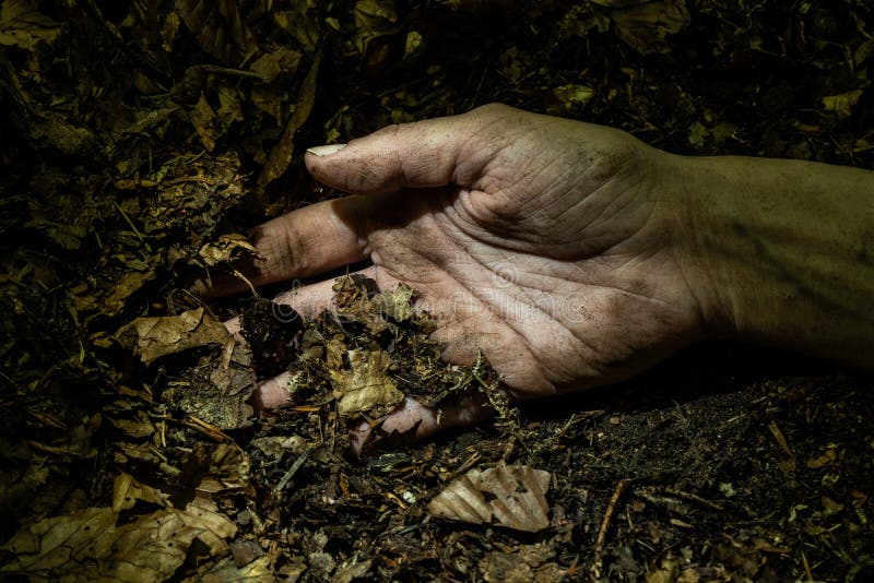 Dirty woman hand on forest floor lightened by flashlight. Kidnapping and crime concept. Dirty woman hand on forest floor lightened by flashlight. Kidnapping and crime concept.