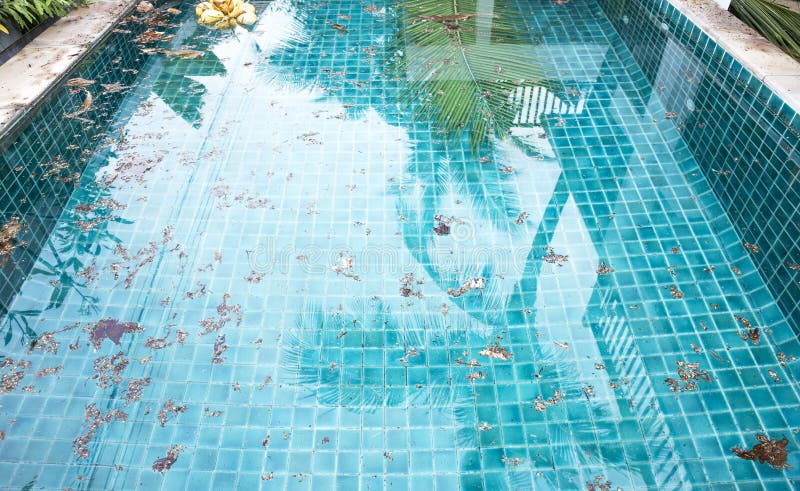 Agua piscina verde