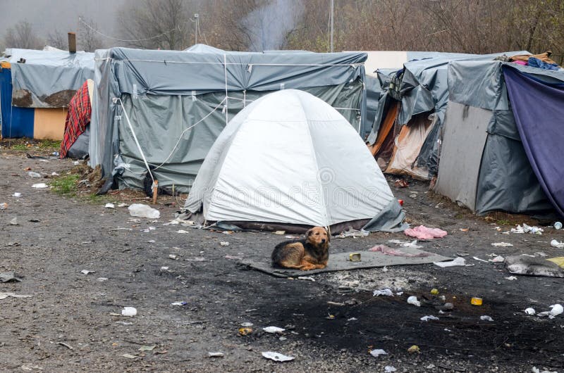 A humanitarian catastrophe in Refugee And Migrants Camp In Bosnia And Herzegovina. The European migrant crisis. Balkan Route. Tents in camp in Velika Kladusa. Asylum seekers, migrants and refugees living in terrible conditions. A humanitarian catastrophe in Refugee And Migrants Camp In Bosnia And Herzegovina. The European migrant crisis. Balkan Route. Tents in camp in Velika Kladusa. Asylum seekers, migrants and refugees living in terrible conditions