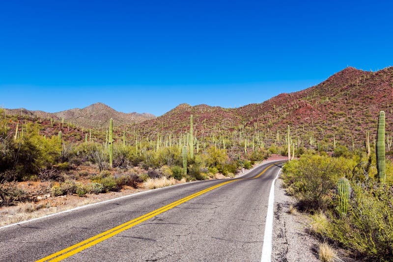 Длинная пустая дорога водит через национальный парк Saguaro стоковое изображение Длинная пустая дорога водит через национальный парк Saguaro стоковое изображение