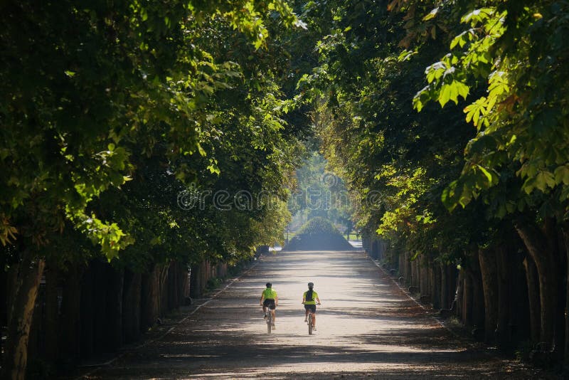 Two cyclists in the park. A man and a woman on a bicycle ride along a shady alley. Two cyclists in the park. A man and a woman on a bicycle ride along a shady alley