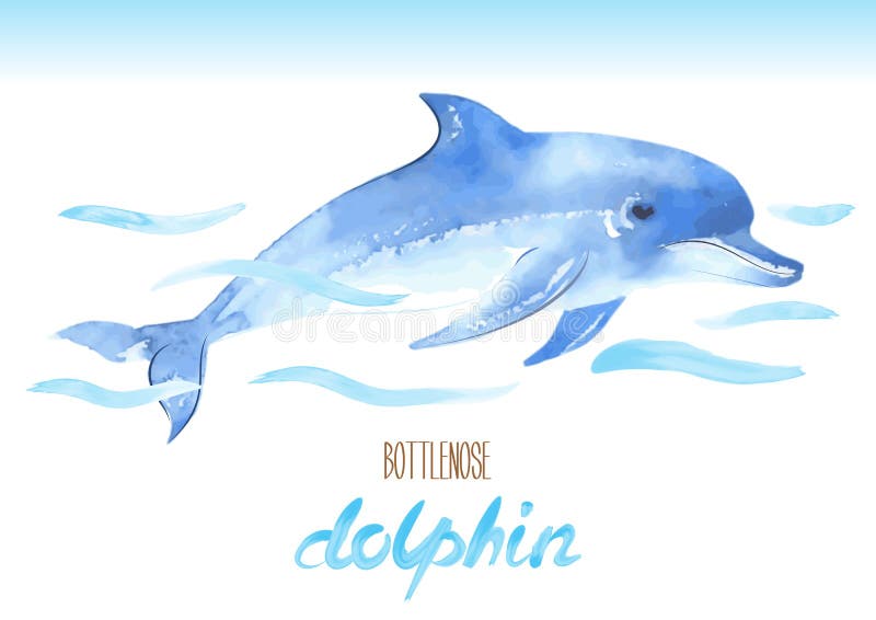 Дельфин Bottlenose Нарисованная рукой иллюстрация акварели вектора бесплатная иллюстрация Дельфин Bottlenose Нарисованная рукой иллюстрация акварели вектора бесплатная иллюстрация