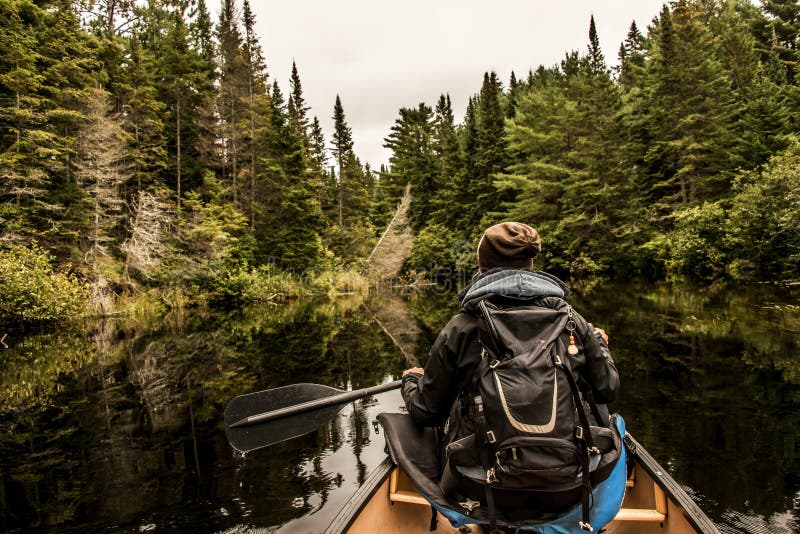 Девушка canoeing с каное на озере 2 рек в национальном парке algonquin в Онтарио Канаде на пасмурный день стоковые фотографии rf