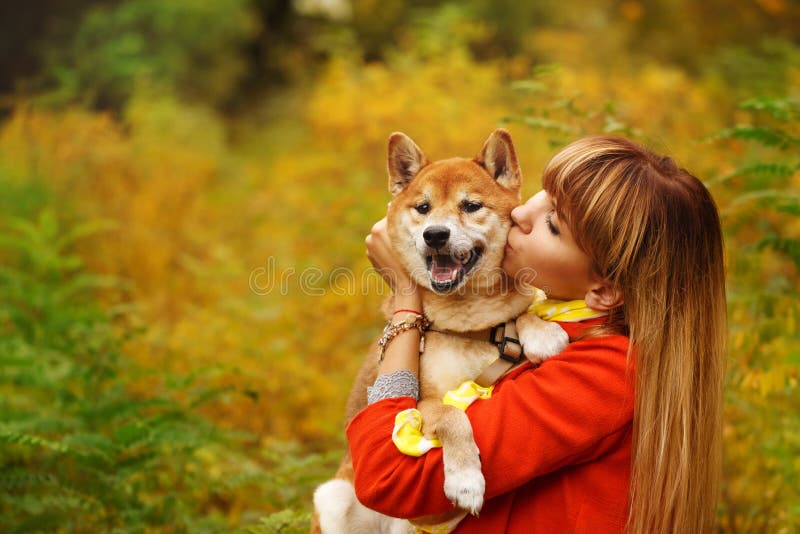 Девушка целует собаку Shiba Inu в парке осени стоковая фотография Девушка целует собаку Shiba Inu в парке осени стоковая фотография