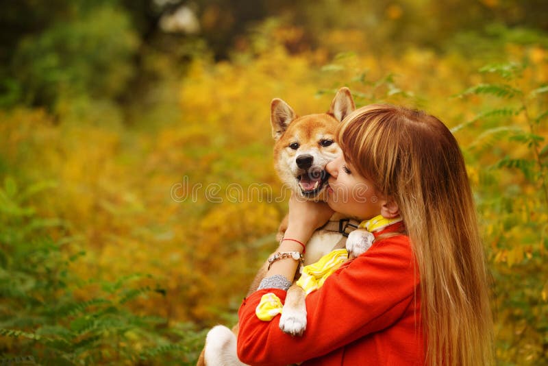 Девушка целуя собаку Shiba Inu в парке осени стоковые фото Девушка целуя собаку Shiba Inu в парке осени стоковые фото