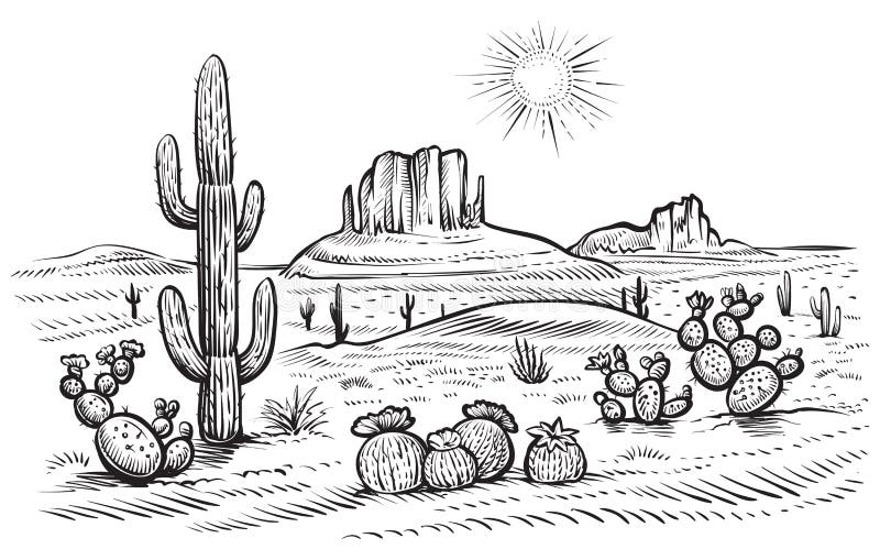 Дезертируйте иллюстрацию вектора ландшафта с saguaro и кактусом opuntia зацветая иллюстрация вектора