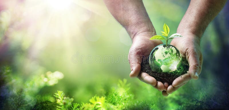 Earth Day Grow Plant On Globe Glass In Green Forest - Environment Concept. Earth Day Grow Plant On Globe Glass In Green Forest - Environment Concept