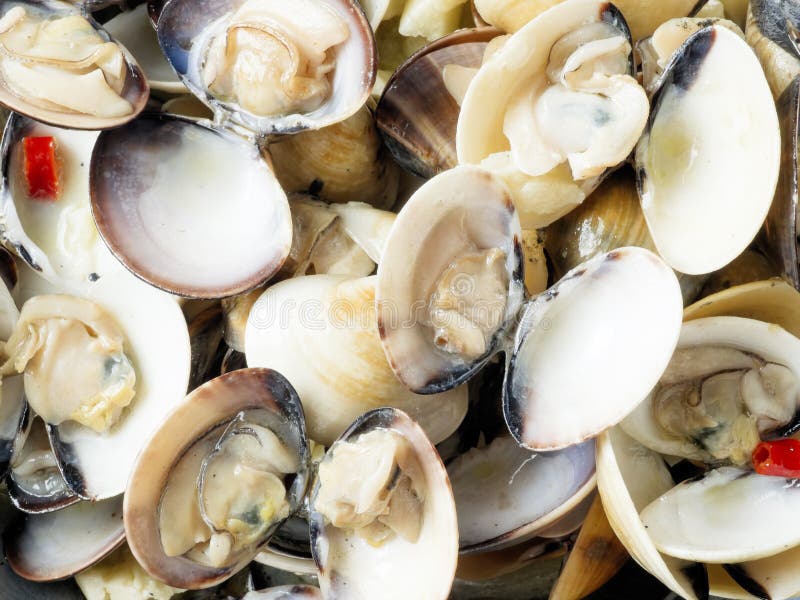 Деревенские итальянские clams vongole в предпосылке еды соуса белого вина стоковая фотография Деревенские итальянские clams vongole в предпосылке еды соуса белого вина стоковая фотография