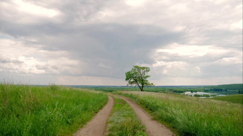 Дерево и облачное небо зеленого цвета Timelapse Движение слайдера видеоматериал