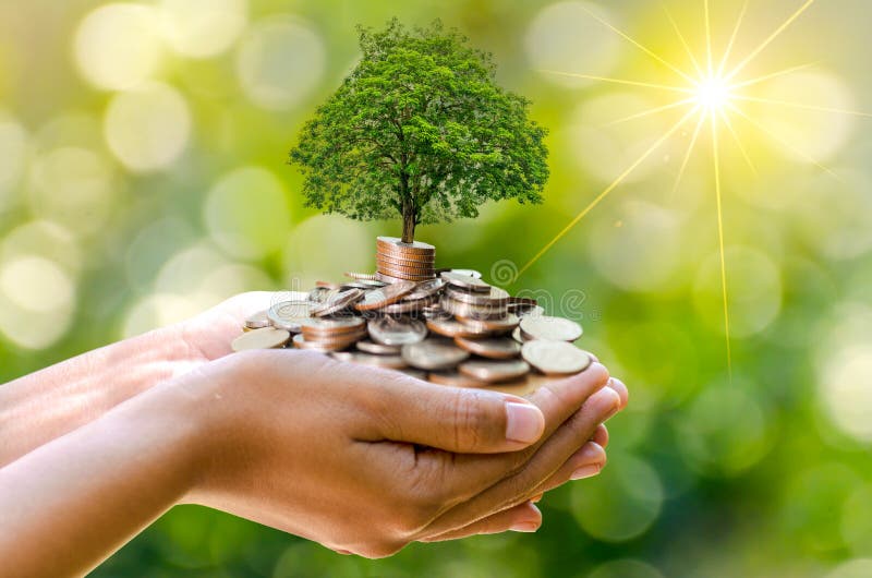 Hand Coin tree The tree grows on the pile. Saving money for the future. Investment Ideas and Business Growth. Green background with bokeh sun. Hand Coin tree The tree grows on the pile. Saving money for the future. Investment Ideas and Business Growth. Green background with bokeh sun