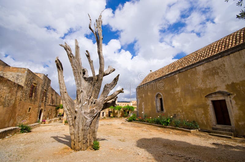 Old tree with bullet - Moni Arkadiou monastery on Crete, Greece. Old tree with bullet - Moni Arkadiou monastery on Crete, Greece