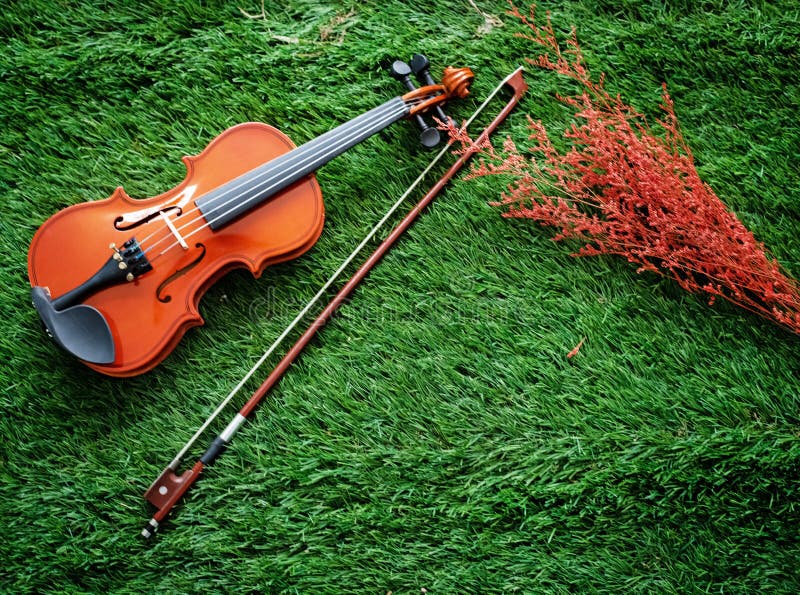 деревянная скрипка и сухой цветок на зеленом травяном полу