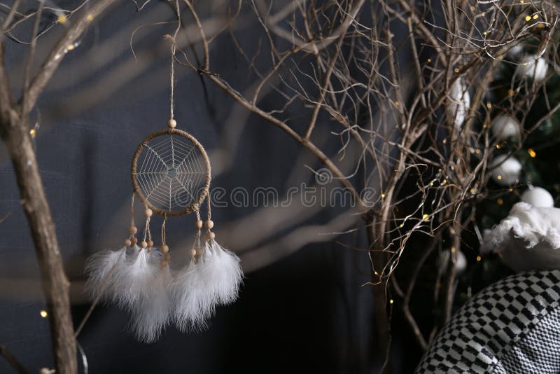 Деревянные ветви и Dreamcatcher с белыми пер темная предпосылка и черно-белые подушки стоковое изображение