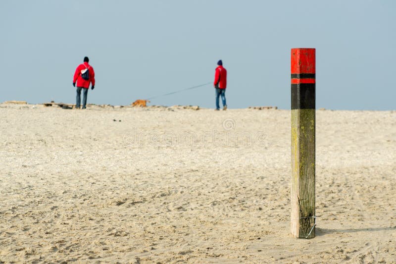 Деревянный пляж Texel поляка стоковая фотография