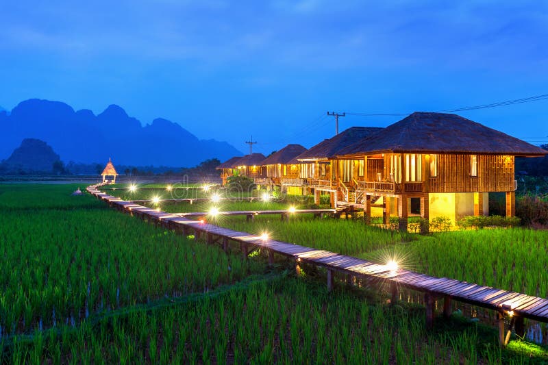 Деревянный путь и зеленый рис field на ноче в Vang Vieng, Лаосе стоковое изображение